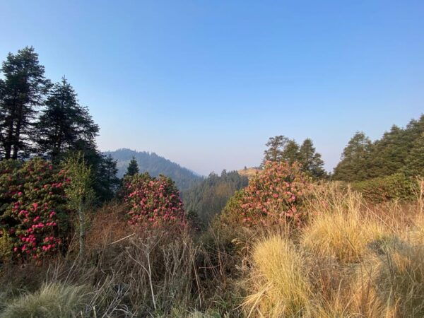Nepal: 12 Days of Culture, Wildlife & Himalayan Trekking - Essential Packing List