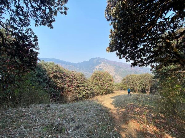 Nepal: 12 Days of Culture, Wildlife & Himalayan Trekking - Break Down