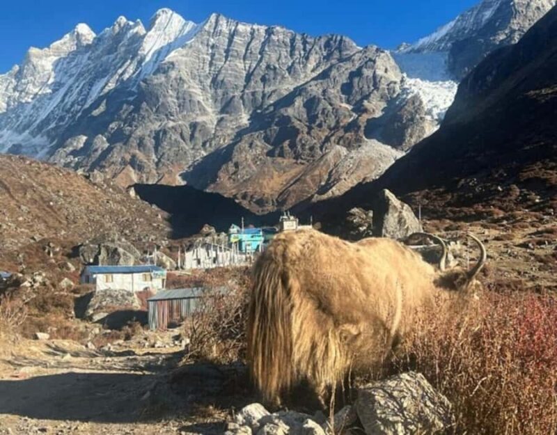 Nepal: 12 Days Yala Peak Beginner Climb with Safety Training - Practical Details and Tips