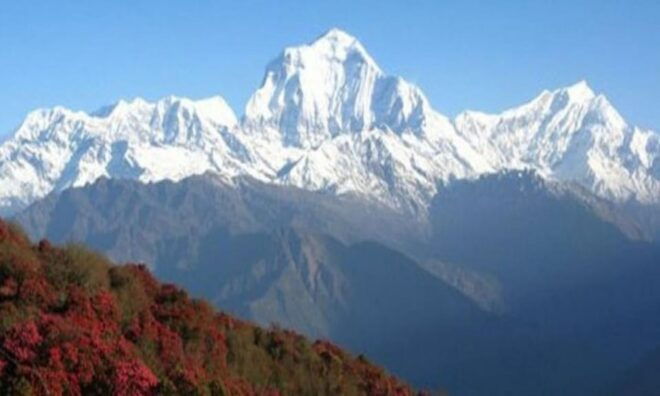 Nepal: 12 Nights-13 Days Tour - Inclusions and Exclusions