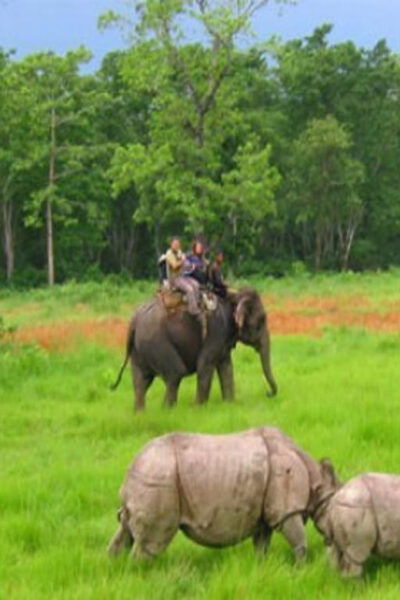 Nepal: 12 Nights-13 Days Tour - Break Down