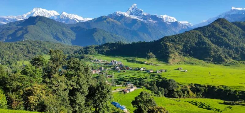Nepal: 14-Day All Nepal Luxury Tour with Flights and Safaris - Chitwan Jungle Adventures