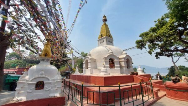 Nepal: 7 Day Luxurious Kathmandu Pokhara Chitwan Tour - Highlights of Chitwan National Park Activities