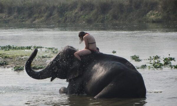 Nepal: 7 Nights 8 Days Tour - Tips for Travelers