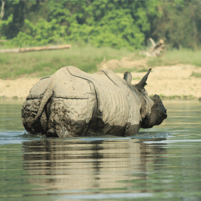 Nepal: 9-Day Private Tour With Accommodation & Meals - Included Services