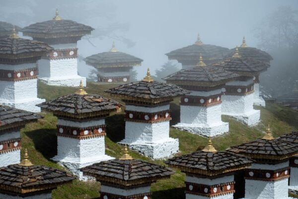 Nepal and Bhutan Tours Exclusive - Scenic Flight to Paro