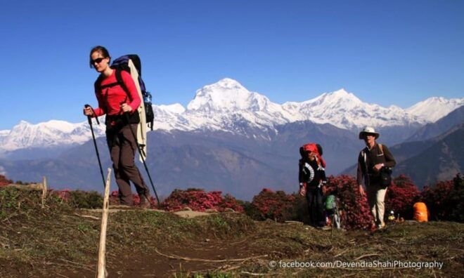 Nepal: Annapurna Base Camp (Abc) Trek From Kathmandu - Inclusions and Exclusions