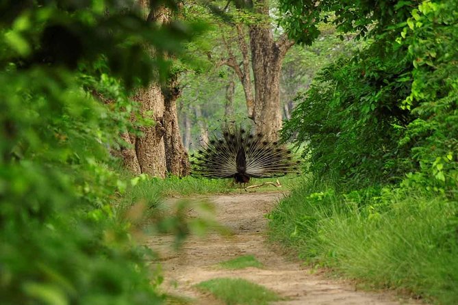 Nepal at a Glance Luxury - Start and End Details