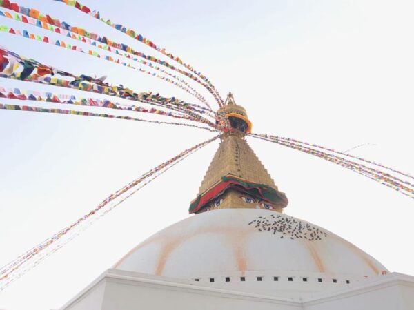 Nepal Bhutan Luxury Tour - Cultural Insights and Experiences