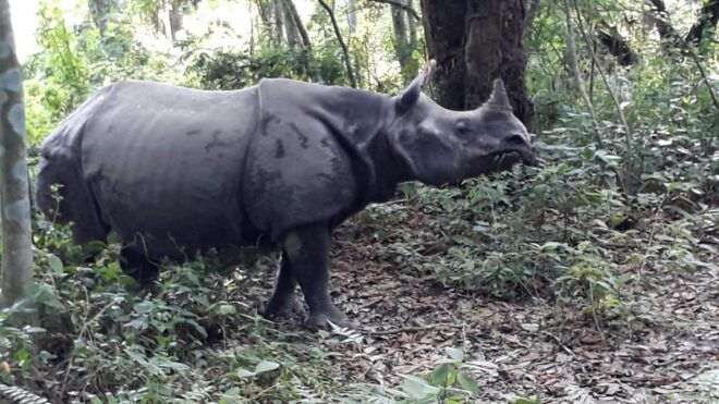 Nepal: Chitwan National Park 3-Day Jungle Tower Stay - Inclusions and Exclusions
