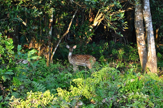 Nepal Classic Tour - Inclusions and Accommodations