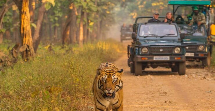 Nepal: Classical Tour (8-Days) - Key Points