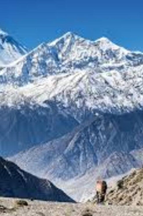 Nepal: Dhaulagiri Circuit 18-DAY Guided Trek (5,360 Meters) - Detailed Itinerary