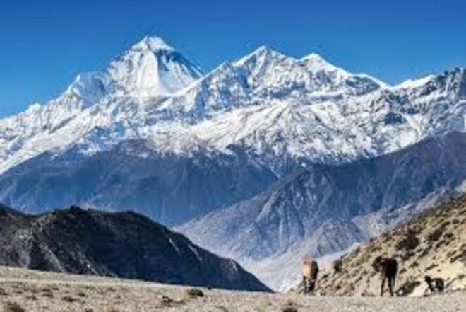 Nepal: Dhaulagiri Circuit 18-DAY Guided Trek (5,360 Meters) - Questions You May Have