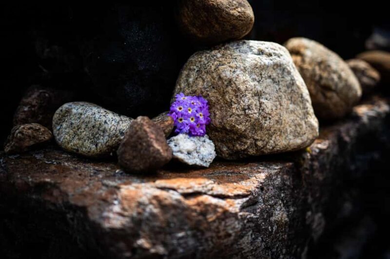 Nepal: Everest Base Camp Trek with Guide and Porter - An In-Depth Look at the Everest Base Camp Trek