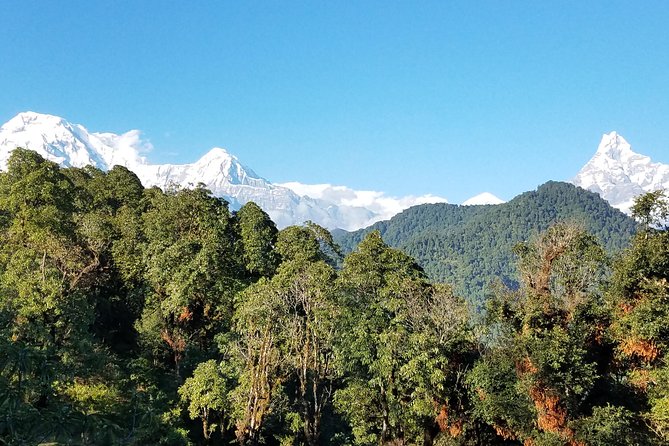 Nepal Family Fun Tour Experience - 12 Days - Garbage Disposal