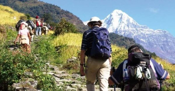 Nepal Highlights: Safari, Trekking & Tour Adventure - Travel Tips for Nepal