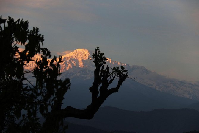 Nepal Homestay Tour - Assistance and Information