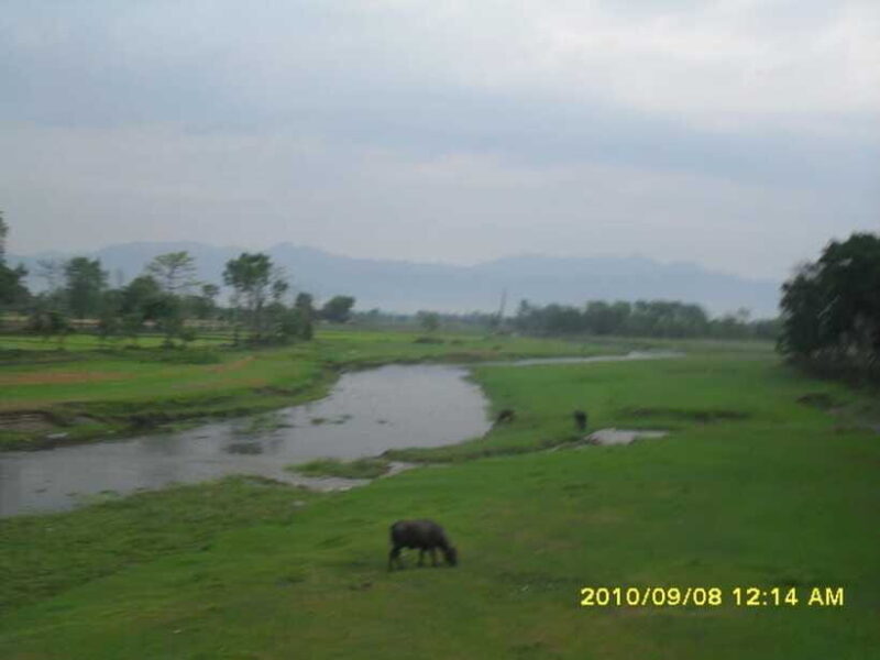 Nepal: Kathmandu and Chitwan National Park Tour - Day in the Jungle: More Adventures in Chitwan