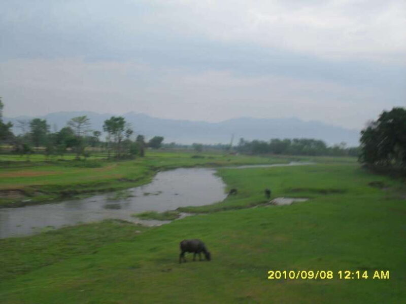 Nepal: Kathmandu and Chitwan National Park Tour - Exploring Kathmandu: A Cultural Feast