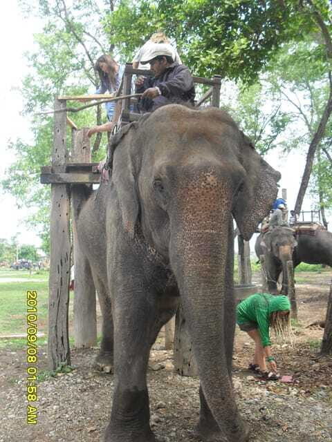 Nepal: Kathmandu and Chitwan National Park Tour - Returning to Kathmandu and Cultural Farewell