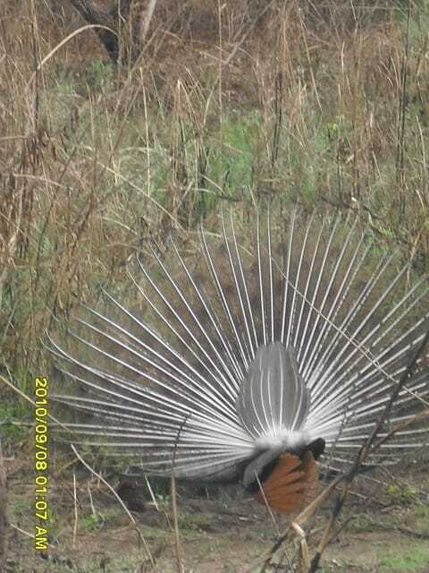 Nepal: Kathmandu and Chitwan National Park Tour - Analyzing the Cost and Overall Value