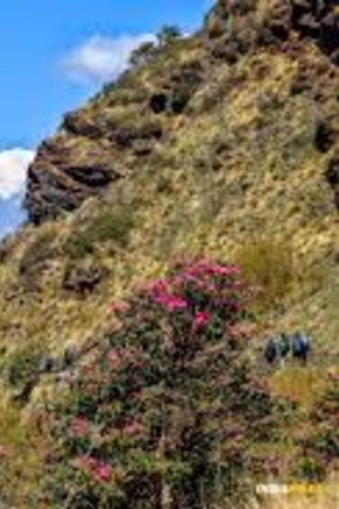 Nepal: Khopra Danda Trek With Khayer Lake (4,500 Meters) - Detailed Itinerary