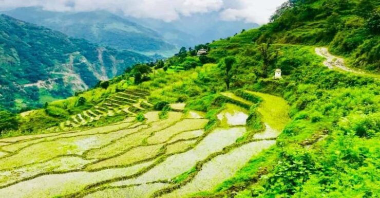 Nepal: Makalu Base Camp Trek - Itinerary Highlights