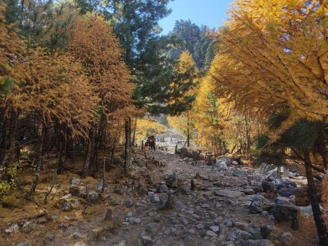 Nepal: Manaslu Circuit Trek With Epic Adventures Pvt. Ltd - Cultural Experiences