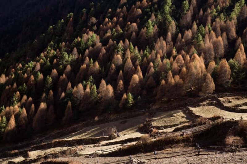 Nepal: Manaslu Circuit Trek with Guide and Permits - The Route Breakdown: What Makes Each Day Special