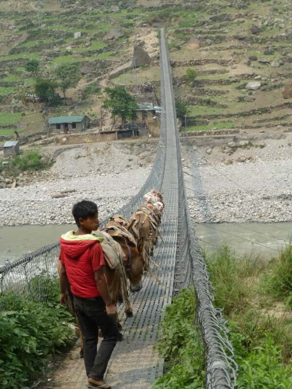 Nepal: Manaslu Circuit Trek with Guide and Permits - FAQ