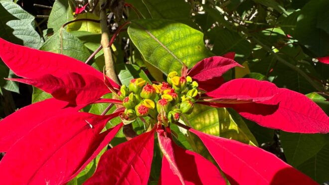 Nepal: Manaslu Circuit Trekking - Mountain of the Spirit - Important Guidelines and Requirements