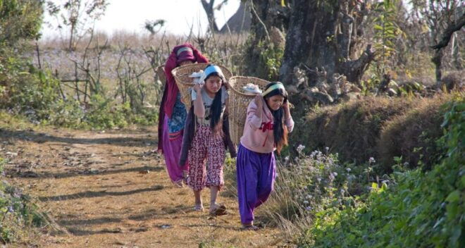 Nepal on Shoestring - About Nepal on a Shoestring