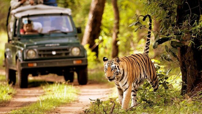 Nepal Panorama Tour – 10 Days - Included Activities