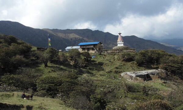 Nepal: Pikey Peak Trek - Sherpa Culture Experience