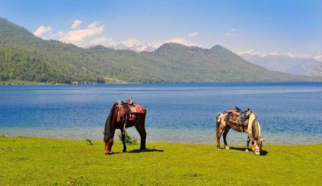 Nepal: Rara Lake Trek - The Biggest Lake in Nepal - Safety Information