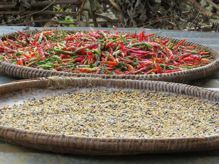 Nepal Shaman Tour - Booking Information