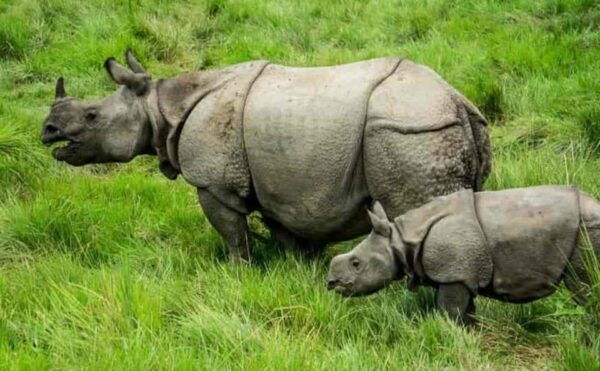 Nepal: Tour From Kathmandu,Pokhara,Chitwan and Lumbini - Break Down