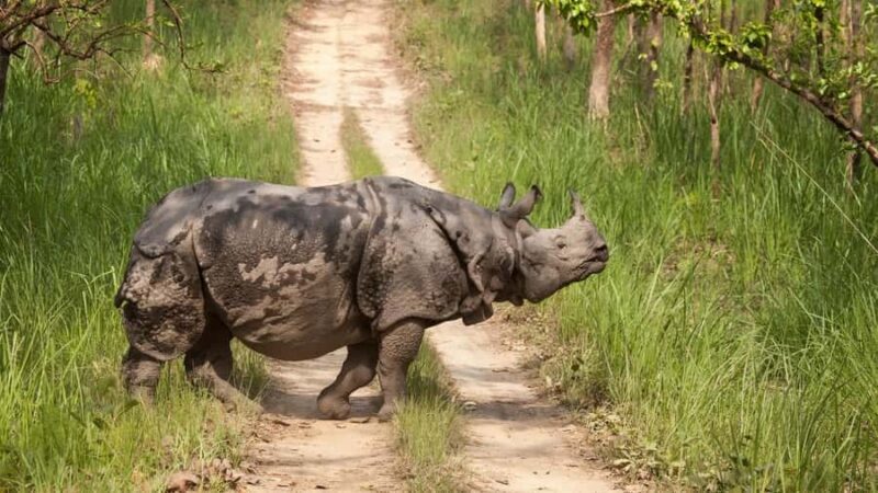 Nepal Tour: Kathmandu, Pokhara & Chitwan Park - Scenic Drive to Pokhara