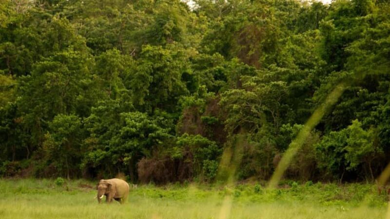 Nepal Tour: Kathmandu, Pokhara & Chitwan Park - Practicalities and Logistics