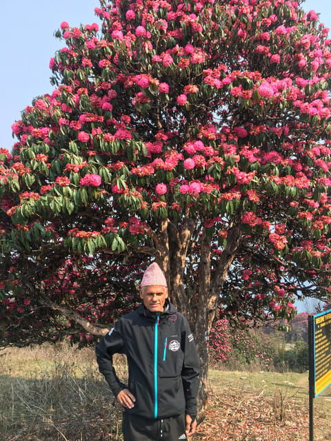 Nepal: Trekking Guide With 20+ Years of Experience - Booking Your Adventure