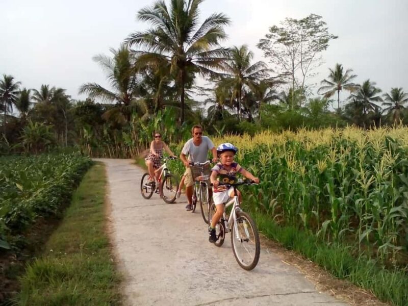 Nepal Van Java & Cycling Adventure around Borobudur Temple - What to Expect from the Nepal Van Java & Borobudur Cycling Tour