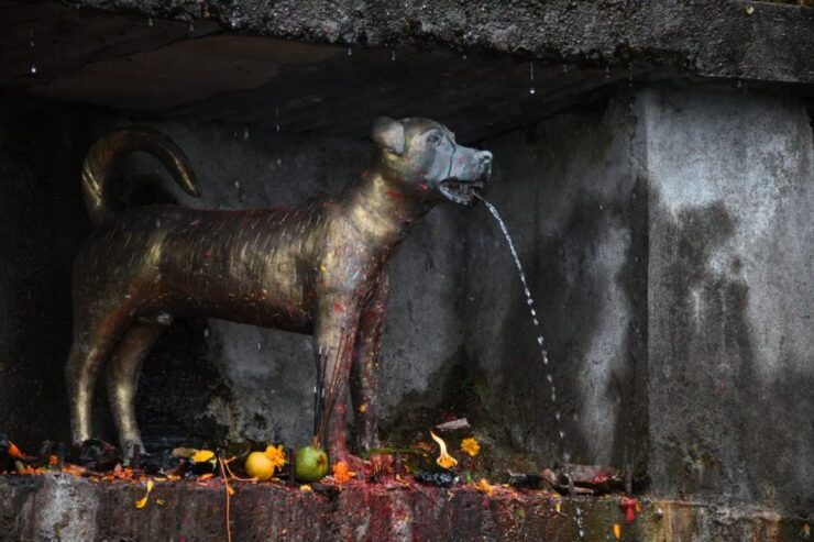 Nepal Villages Tour From Kathmandu With Trekking - Trekking Experience