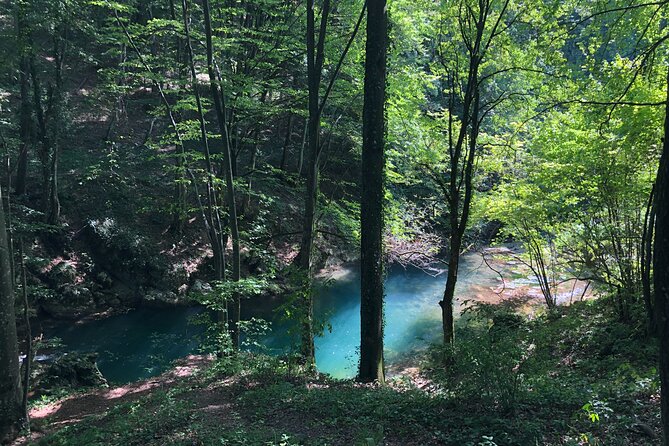 Nera Gorge National Park - Private Day Tour From Timisoara - Important Reminders