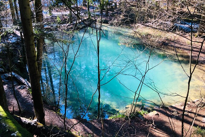 Nera Gorge National Park - Private Day Tour From Timisoara - Cancellation Policy