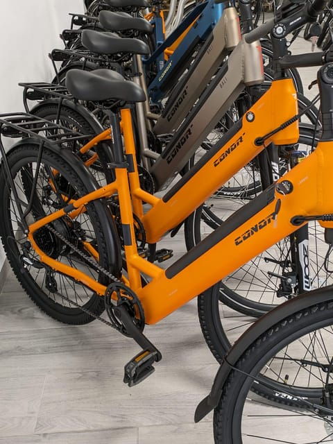 NERJA: Ebike Rental - Exploring Granada by Ebike