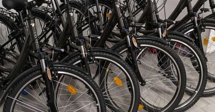 NERJA: Ebike Rental - Reservation Process