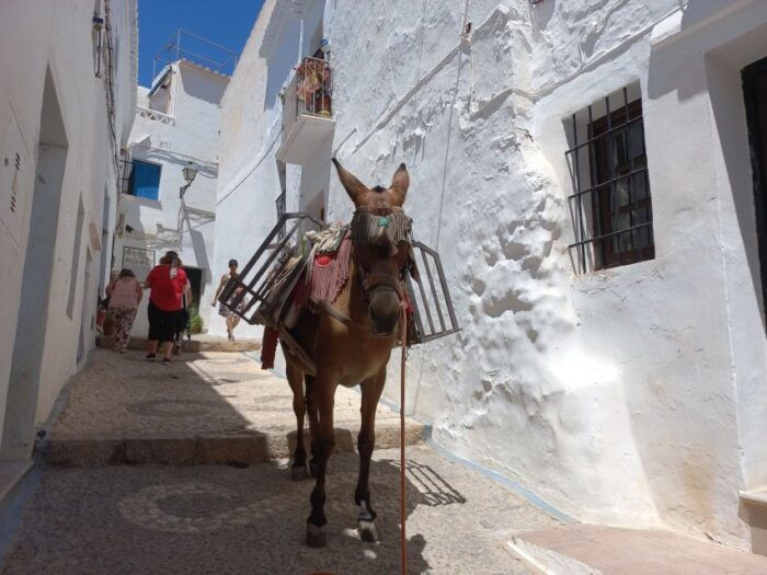 Nerja, Frigiliana & El Acebuchal: Full-Day Semi-Private Tour - Exploring Nerja