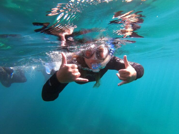 Nerja-Maro: Snorkeling & Sea Scooter - Experience Highlights