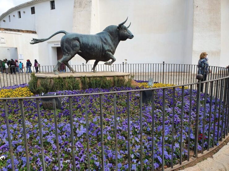 Nerja/Torrox/Almuñécar:Ronda and Setenil Bodegas Day Trip - Experience Itinerary